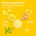 Lemon Ginger Candy for Nausea & Pregnancy | Anti Nausea Chews | LoveNoobs | Sugar-Free & B6 Fortified - Buy Online on GoSupps.com