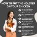 Hen Holster Wrap-Around Chicken Diaper with Removable Liner Extra Large Gray XL Gray - Buy Online on GoSupps.com