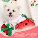 Stylish Medium Pink Dog Dress for Small Dogs - Perfect Fit & Comfort - Buy Online on GoSupps.com