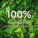 Handpicked Spearmint Tea Bags (100 Count) - Non-GMO, Caffeine Free, Raw & 100% Pure from India | Eco-Conscious Round Tea Bags - Pack of 1 - Buy Online on GoSupps.com