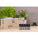 Perfect Balance Essential Oil Set | Premium Aromatherapy for Wellness - International Shipping Available - Buy Online on GoSupps.com