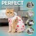 Avont 2 Pack Cat Recovery Suit - Kitten Onesie for Cats After Surgery Cone of Shame Alternative Surgical Spay Suit for Female Cat Post-Surgery or Skin Diseases Protection -Cherry/Strawberry (S) Cherry/Strawberry Small - Buy Online on GoSupps.com