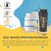 Egghead Nutrition Egg White Protein - 24g 3.3lb Vanilla Non-Dairy Gluten-Free Non-GMO Made in USA - International Shipping Available - Buy Online on GoSupps.com