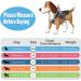 Small Puppy Dog Harness Set | Super Light No Pull Design | All Weather Comfort | Reflective | Black XXS Size - Buy Online on GoSupps.com