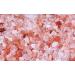  P&E Plantes & Epices - Pure Himalayan Pink Salt 250 g - Resealable Biodegradable Freshness Bag - Buy Online on GoSupps.com