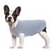 Hjumarayan dog sweater Small dogs - thin dog sweater washable dog sweater elastic sweater dog striped dog shirt dog sweaters for chihuahua yorkshire terrier (light blue s) s light blue