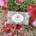 Buy Vintage Wrapped Shea Butter Soap - Green Tea (200g) | The English Soap Company - International Shipping Available - Buy Online on GoSupps.com