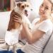 Shop PET Soft Disposable Dog Diapers for Bitches - 12 Pack High-Suction Incontinence & Heat Protection - Buy Online on GoSupps.com