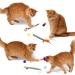 Heyu-Lotus 6 PCS Silvervine Cat Chew Sticks Cat Chew Toy Kitten Teething Toys Natural Cat Dental Sticks Indoor Kitten Teething Cat Teeth Cleaning and Stress Release - Buy Online on GoSupps.com