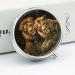 Round Pill Box with Two Lions Print - 3 Compartment Portable Medicine Organizer | Decorative Metal Pocket Pill Case - Buy Online on GoSupps.com