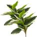 2 Bouquets Artificial Hostas 17.71in Tall Realistic Fake Dieffenbachia with 14 Leaves Low-Maintenance Indoor Aesthetic Artificial Greenery for Wedding Garden Home Office Decor Fake Plants