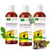 Moringa oil basic 300ml - cold pressed from Oleifera seeds and pods - skin care hair care wound care anti -aging - food oil - bean oil from Moriveda massage oil 3 x 100 ml
