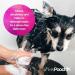 Pretty PoOch Gentle Touch Shampoo & Conditioner for Dogs | Non-Itchy Deep Cleaning for Sensitive Skin | 4L Baby Powder Fragrance - Buy Online on GoSupps.com