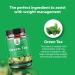Pure Green Tea Extract Capsules for Weight Loss and Metabolism Boost - Natural Detox Cleanse for Fast Results - Men and Women - Buy Online on GoSupps.com