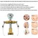 Ingrown Toenail Treatment Kit: Professional Toe Nail Recovery Tool for Correction & Trimming - Buy Online on GoSupps.com