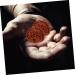 Magiclulu 6-Piece Walnut Fitness Massage Balls - Hand Training & Stress Relief for Adults - Buy Online on GoSupps.com