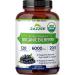 Zazzee USDA Organic Bilberry 20:1 Extract 6000 mg Strength 120 Vegan Capsules 4 Month Supply Standardized and Concentrated 20X Extract 100% Vegetarian All-Natural Non-GMO Made in The USA