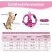 Adjustable Cat Dishes - Pink - Optimal Feeding Solution for Cats & Puppies | International Shipping Available - Buy Online on GoSupps.com