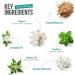 Cream for Piles Fissures & Perianal Wounds - 30gm Patented Plant Based Piles & Fissure Solution Clinically Proven Herbal & Natural Piles Care - Buy Online on GoSupps.com