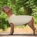 Hjumarayan Beige Dog Jumper Medium - Knitted Striped Sweater for French Bulldog, Corgi, Dackel - Soft Stretchy Dog Tshirt - Size M - Buy Online on GoSupps.com