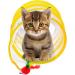 Folded Cat Tunnel for Indoor Cats Cat Tunnels Cat Tube Tunnel with Feather Mouse Toys Puppy Kitten Playing Tent Upgrade Collapsible Cat Tube Tunnel Cat Springs Exercise Toys - Buy Online on GoSupps.com