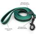 Wolfone 10m Lake Green Non-Slip Latex Training Lead for Dogs/Cats - Lightweight Daily Walking Lead for All Sizes - Ideal for Recall, Camping & Training - Buy Online on GoSupps.com