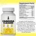 New Candida leanse - ut & olon Support Include Oregano Leaf Wormwood Black Walnut Caprylic Acid 60 Capsules (2) - Buy Online on GoSupps.com