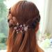 Rhinestone Double Flower Hair Clip Women Hair Clips Female Elegant Duckbill Clip Hairgrip Fashion Hair Claw Clips Lady Elegant Dovetail (Champagne) - Buy Online on GoSupps.com