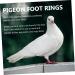 FRCOLOR 400 pcs Birds Pigeons Accessory Marker and Mixed Leash Leg Finch Thigh Ctr Bands- 1.1x0.8cm x4pcs Colorfulx4pcs - Buy Online on GoSupps.com