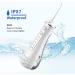 Sawgmore Cordless Water Flosser - Portable Teeth Cleaner with 4 Cleaning Modes and 4 Jet Tips - USB Rechargeable & Waterproof Dental Oral Irrigator - for Travel & Home (White) - Buy Online on GoSupps.com