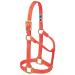 WEAVER Leather Non-adjustable halter blaze orange Large Horse