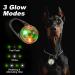 AUAUY 2PCS LED Dog Collar Light LED-Light Pendant Keyring Dog Collar Charms Blinker Light 3 Light Modes Dog Lights LED Safety Light for the Dark for Night Walking Running Dog Collar-Green 2 Pack White & Green - Buy Online on GoSupps.com