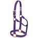 WEAVER Leather Non-adjustable Halter Purple Large Horse