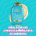 ORGANIX Ogx Extra Argan Oil Shampoo 385 ml - Buy Online on GoSupps.com