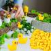 100Pcs Mini Resin Ducks Realistic Micro Landscape Ornament | Cute Baby Bath Toy | Aquarium & Dollhouse Decor - Yellow - Buy Online on GoSupps.com