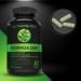1200MG Organic Moringa Leaf Capsules -Provides Powerful Antioxidants -Protects Against Cell Damage Supports Liver Detox & Gut Health- Maximum Potency- 600MG Moringa Powder Per Capsule - 60 Capsules 60 count (Pack of 1) - Buy Online on GoSupps.com