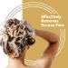 Amazonliss B24 Molecular Peptides Shampoo - pH Maintenance 5.07 Fl Oz | High Foaming Repairs Hair for All Hair Types - Buy Internationally - Buy Online on GoSupps.com