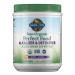 Garden of Life RAW Organic Perfect Food Alkalizer & Detoxifier Lemon-Ginger 9.94 oz (282 g)