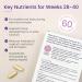 Proceive Pregnancy Trimester 3 (28 Weeks) Vegan Vitamin & Mineral Supplements - 60 Capsules - Buy Online on GoSupps.com