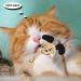 jiuhao Cat Catnip Toys 3 Pack Interactive Cat Teeth Cleaning Plush Toys for Indoor Cats Kitten- Cat Scratch Chewing Teeth Grinding Catnip Pillow Toys Fish-1 - Buy Online on GoSupps.com