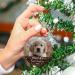Personalized Dog's First Christmas Photo Ornament | Custom Pet Memorial Gift 2022 - Buy Online on GoSupps.com