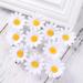 Lurrose 10pcs Daisy Hair Clips - Cute Small Flower Barrettes for Girls and Ladies - Buy Online on GoSupps.com