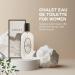 American Collection Womens Perfume - INSPIRED by No. 5 Perfume For Women - Ylang-Ylang Rose Jasmine Sandalwood - Floral Classic Sophisticated - Eau de Parfum (3.4 fl oz / 100 ml) - Buy Online on GoSupps.com