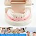 Anti Teeth-Grinding Dental Guard Ready to use No Boiling or Molding Slim Sleek and Comfortable Works for Upper and Lower Jaw relieves Pain