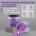 Buy Sugar Free Creatine Monohydrate Gummies 5000mg for Men & Women | Enhanced with L-Taurine Betaine Anhydrous Alpha GPC & Vitamin B12 - International Shipping Available - Buy Online on GoSupps.com