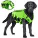 Buy Asenku Adjustable Dog Life Vest - Ripstop Reflective & Durable for Small to Large Dogs - XS Green Perfect for Boating & Swimming - Buy Online on GoSupps.com
