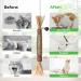 AUCENIX Silvervine Cat Chews - Natural Matatabi Dental Toys for Cats & Kittens (2 Pcs) - Promote Healthy Teeth & Playfulness - Buy Online on GoSupps.com