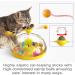 AOCCIT Interactive Cat Toy - Indoor Kitten Teaser Supplies for Enrichment and Playtime | Birthday Gift Cat Treasure Chest - B - Buy Online on GoSupps.com
