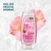 Duschda Wild Rose Melisse Shower Gel - 225ml (6 Pack) | Refreshing Fragrance for a Pampering Start - Buy Online on GoSupps.com