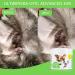 Ear Cleaning Pads for Dogs - 100 Cleansing Pads for Pets - Safe and Effective Pads for Cleaning Teeth Eyes & Ears Ear Cleaning Pads for Stop Ear Itching. - Buy Online on GoSupps.com
